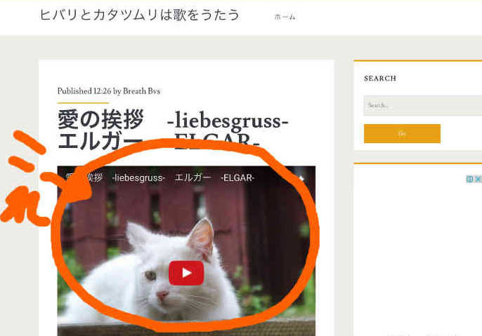 Blogger トップページに動画のサムネイルが表示されない 夢見るひよこのデジタルライフ備忘録