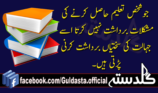 essay on taleem e niswan in urdu essay on taleem e niswan in urdu