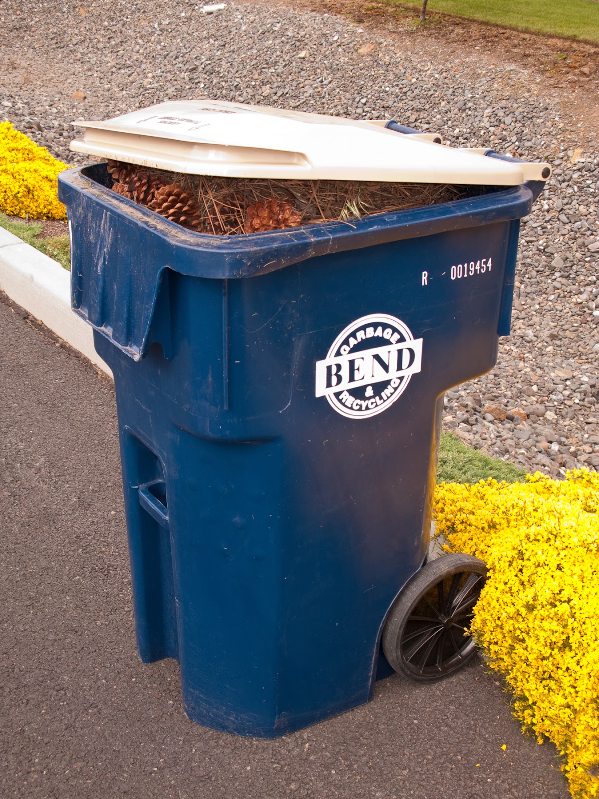 BGR Curbside Online: Yard Debris Customers Back to Normal Schedule BGR Curbside Online: Yard Debris Customers Back to Normal Schedule