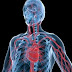 What Is Cardiovascular Disorder