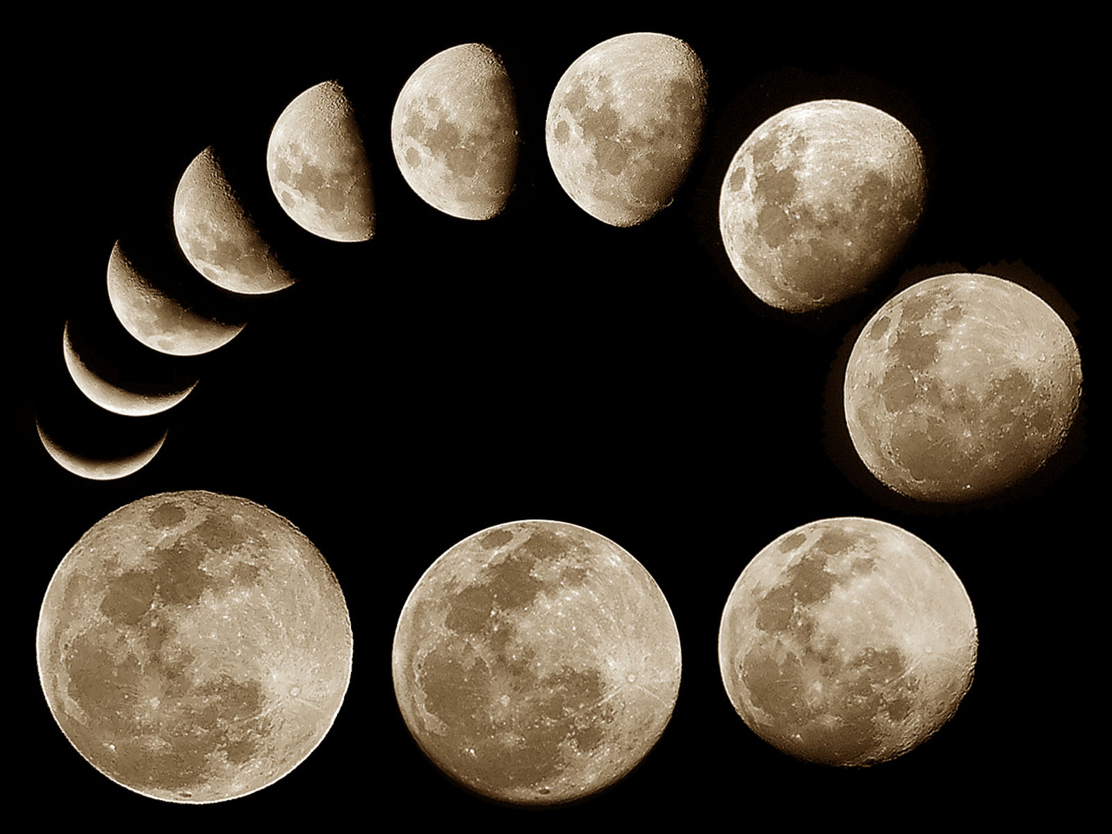 wallpapers: Moon Phases1600 x 1200