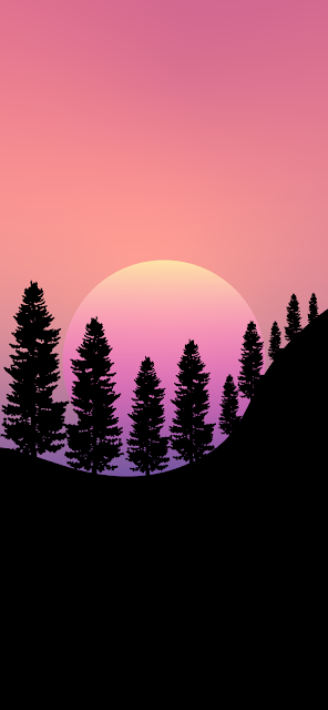 minimal forest tree landscape silhouette sunset wallpaper 4k