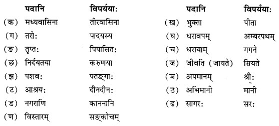 NCERT Solutions for Class 10 Sanskrit Shemushi Chapter 12 अनयोक्त्यः