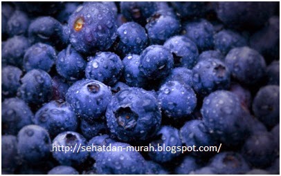 Sejuta manfaat blueberry