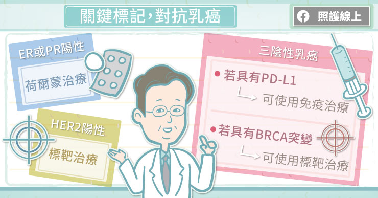 關鍵標記,對抗乳癌
