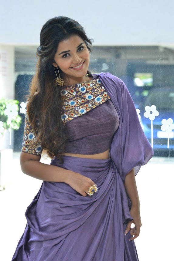 Anupama Parameswaran at Hello Guru Prema Kosame Success Meet