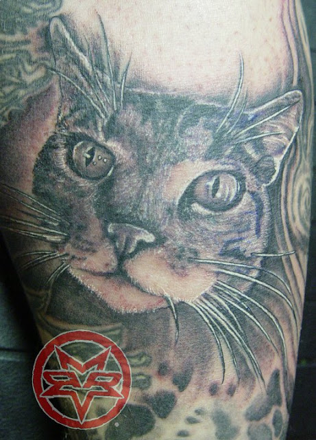 cat tattoo