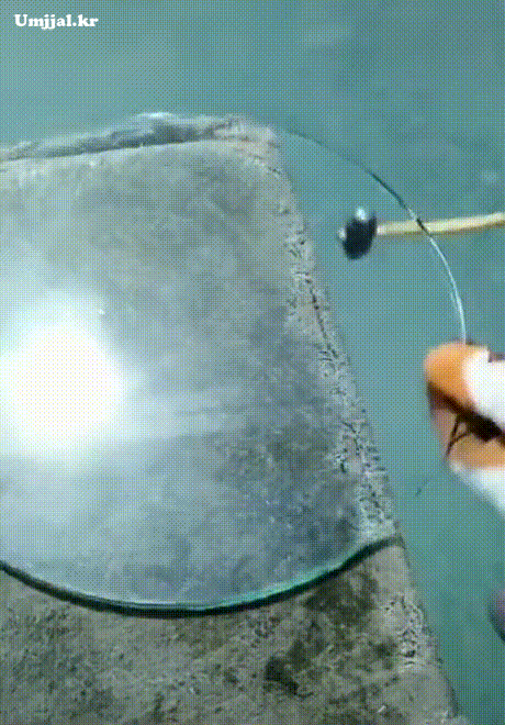 umjjal_kr_206.gif