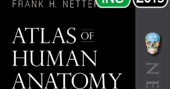 human anatomy atlas pdf human anatomy atlas pdf