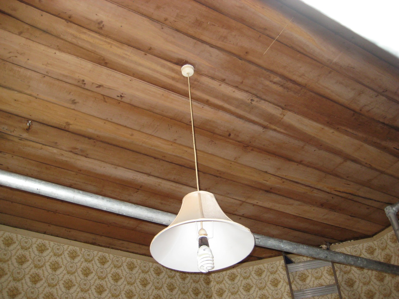 Jo and Steve renovate Ceiling Gibbing, Plastering and Painting