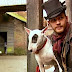 12 Celebrities Who Own English Bull Terriers