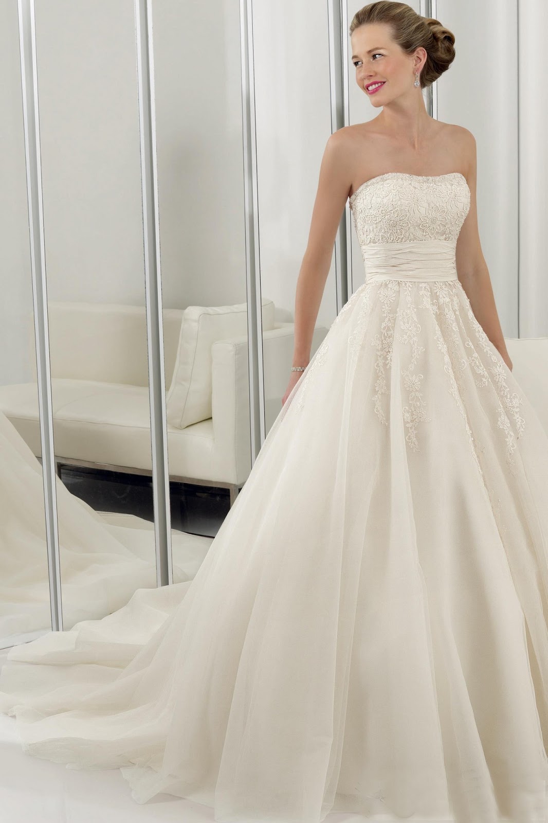 Gallery of Wedding Dress February 2014