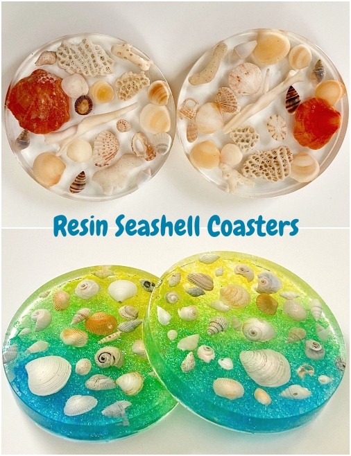 Seashell Coasters