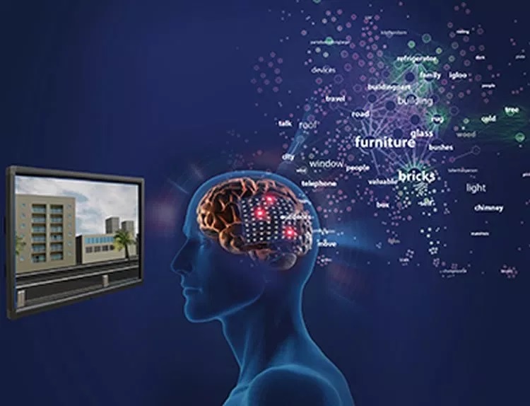 Человеческий мозг и компьютер. Мозг человека компьютер. Компьютер и человеческий мозг. Нейрокомпьютерный Интерфейс. Интерфейс мозг компьютер.