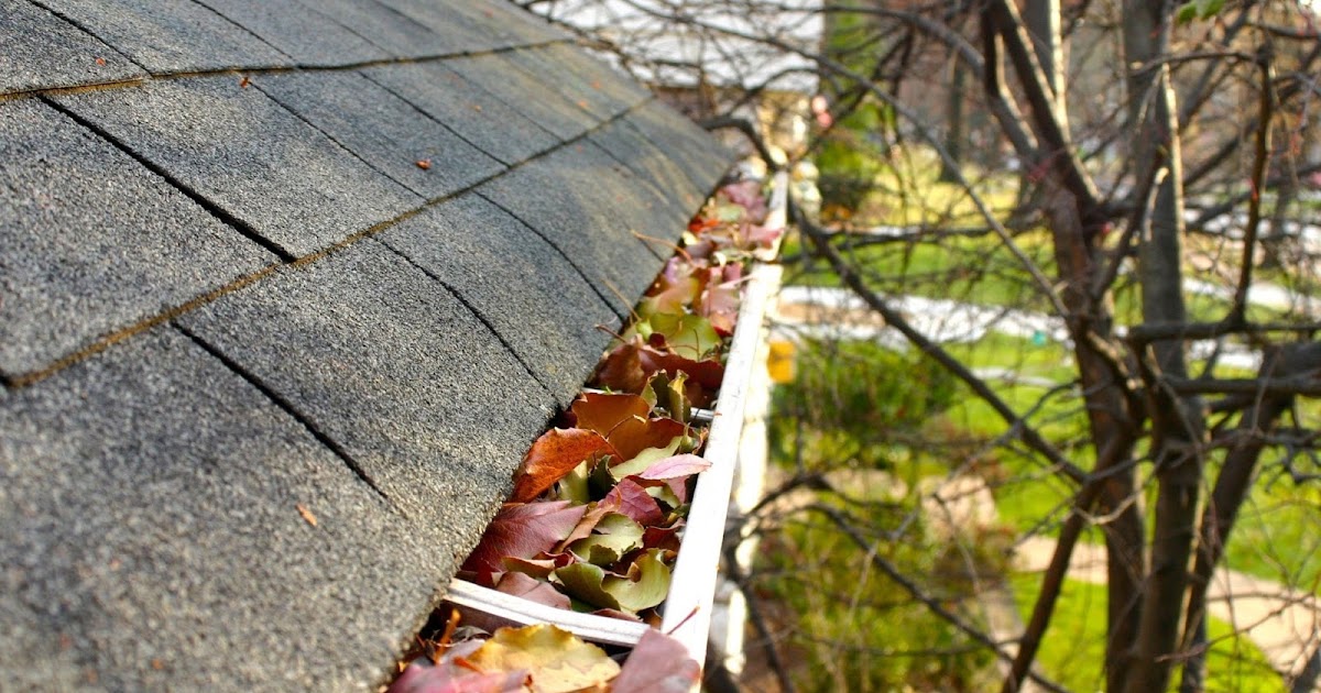 Gutter and Downspout Cleaning Edmonton AB