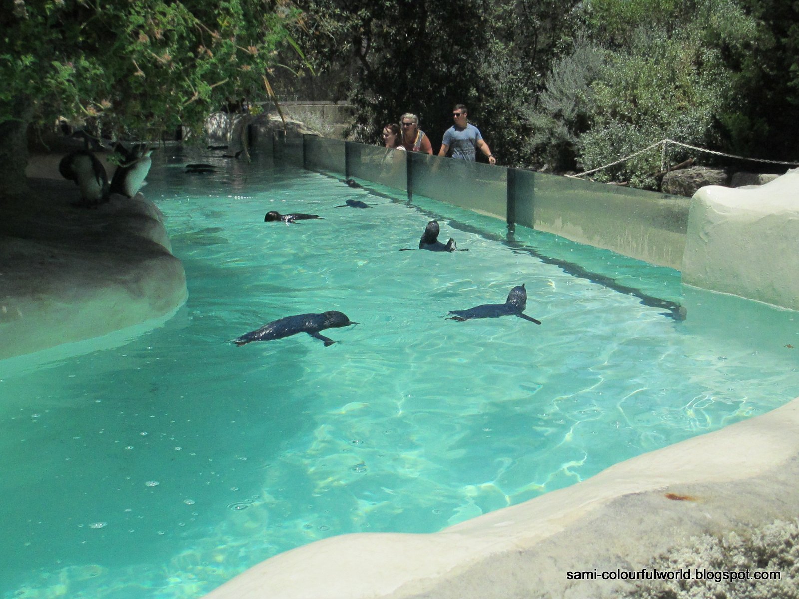 COLOURFULWORLD: Around Perth with my Parents - The Zoo