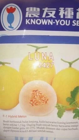 perawatan mudah, rasa manis, daging keras, Luna, Melon Luna, Known You Seed, Taiwan, Benih, Bibit, Hibrida, Tahan Virus, Melon kuning, Daging Orange, Daging Merah