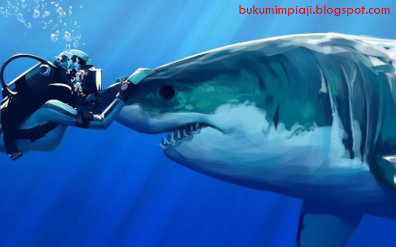 26 Arti Mimpi Tentang Ikan Hiu Menurut Primbon Jawa Dan Islam Buku Mimpi