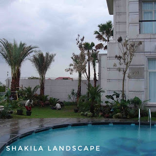 Shakila Landscape