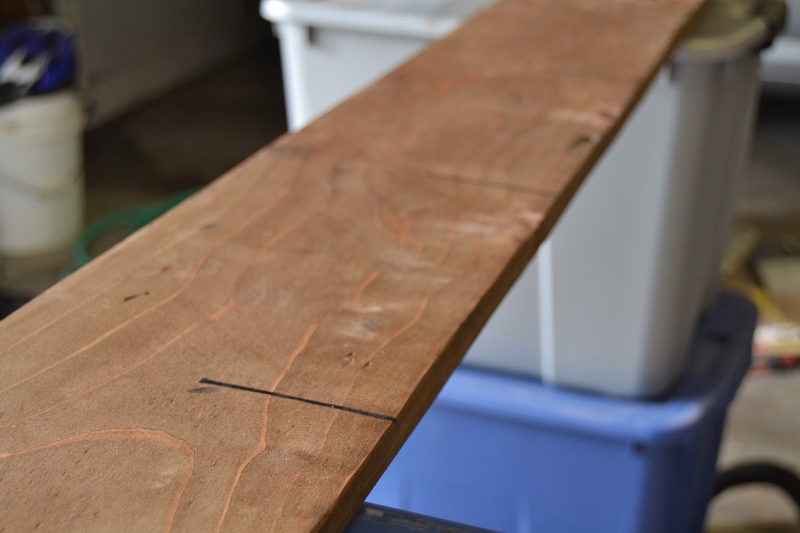 From Foothills to Fog: DIY Growth Ruler