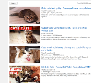 cute cats youtube search