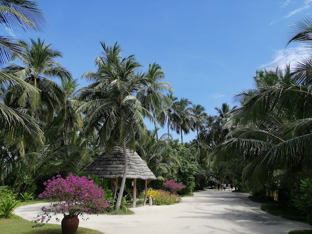 Tropical Islands Die Malediven Inseln Kurumba Kuramathi