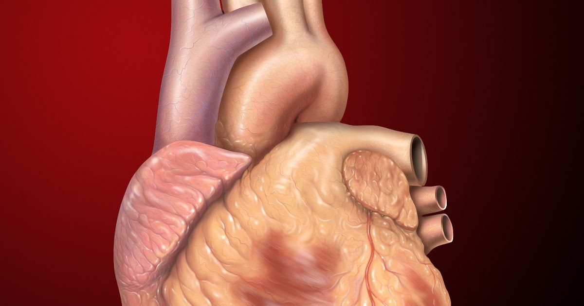 Can cancer occur in the heart? My Q/A Corner