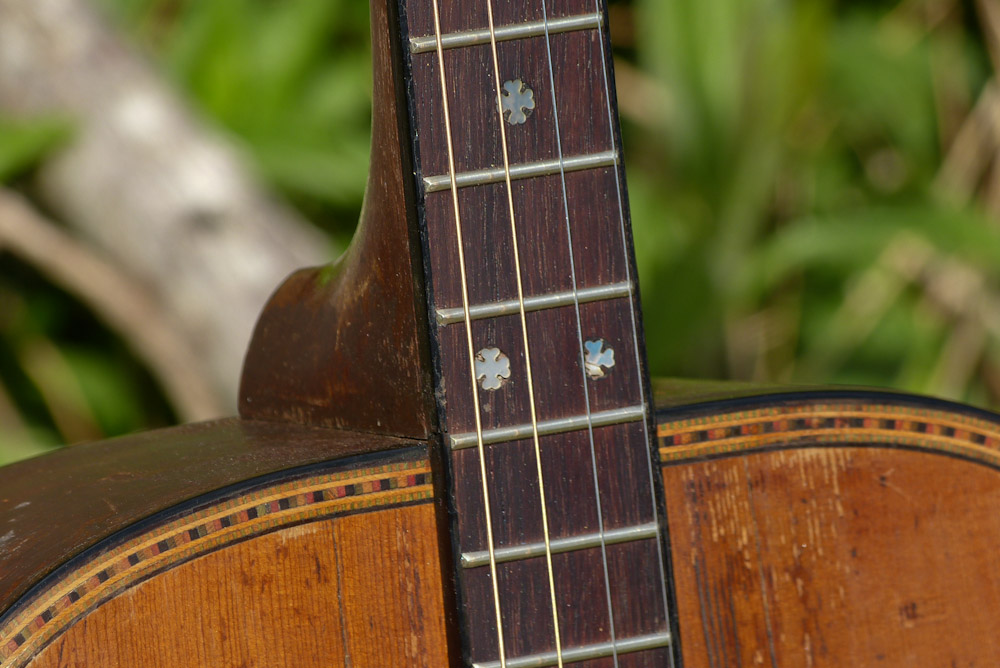 1930s Regalmade "BalsaResonator" Tenor Guitar