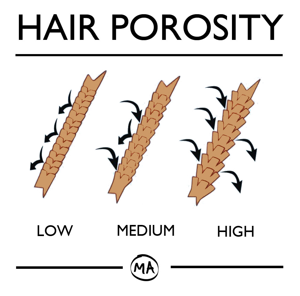 Do You Know Your Hair Porosity All You Need To Know About Hair