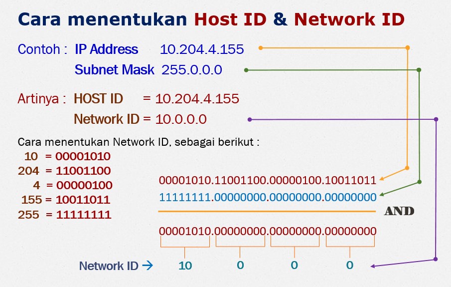 Site ru net id. Network ID. Host ID. Net ID. Десятичный идентификатор host.ID.