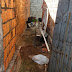 Recém-nascido é enterrado em quintal de residência e encontrado por gato no Ceará