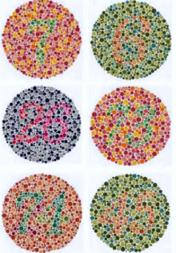 Cara Test Buta Warna