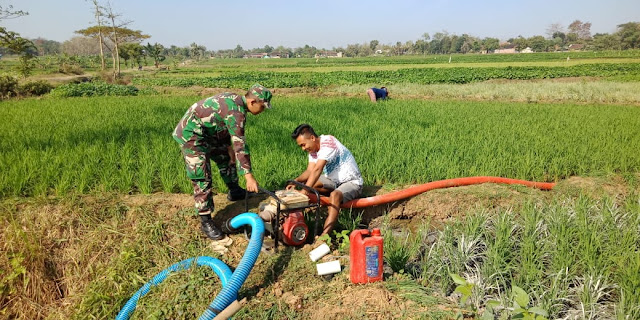 Peran Aktif Babinsa Dampingi Petani Mengairi Sawah