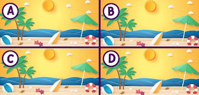 Figure: It's beach bum season! Can you figure out which beach is different?