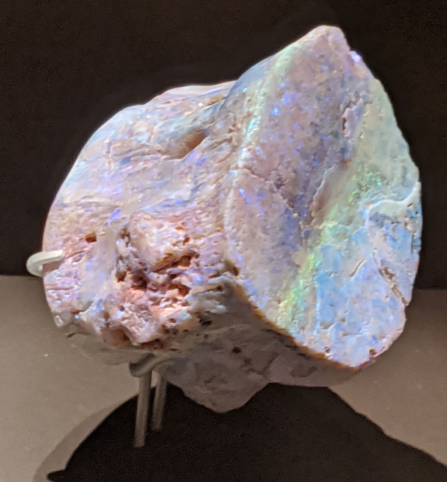 Louisville Fossils and Beyond Opal Plesiosaur Vertebra Fossil