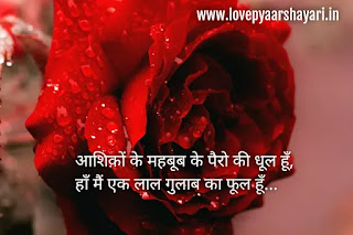 Rose day shayari hindi images