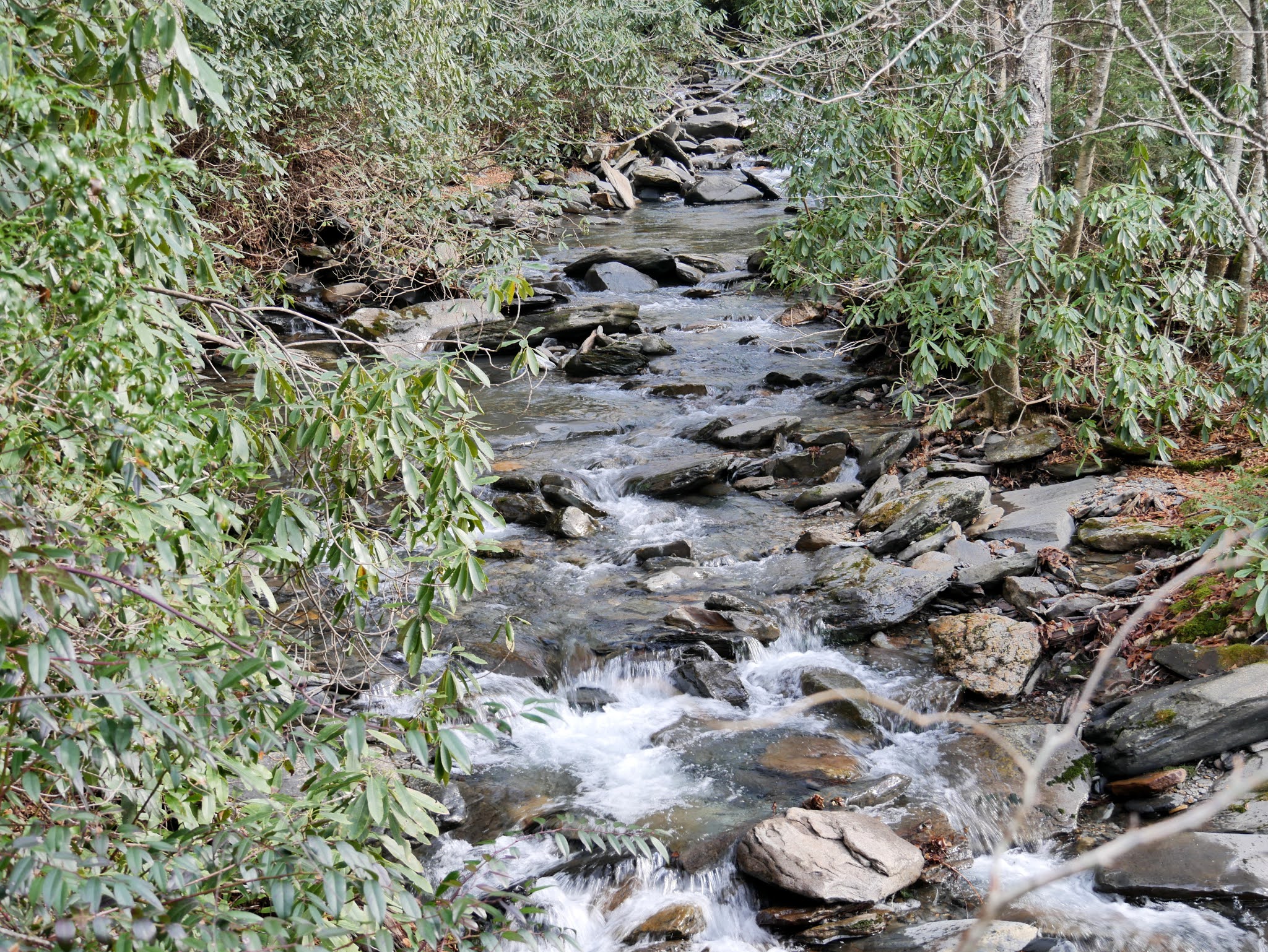 American Travel Journal Alum Cave Trail part 1 Trailhead to Arch Rock