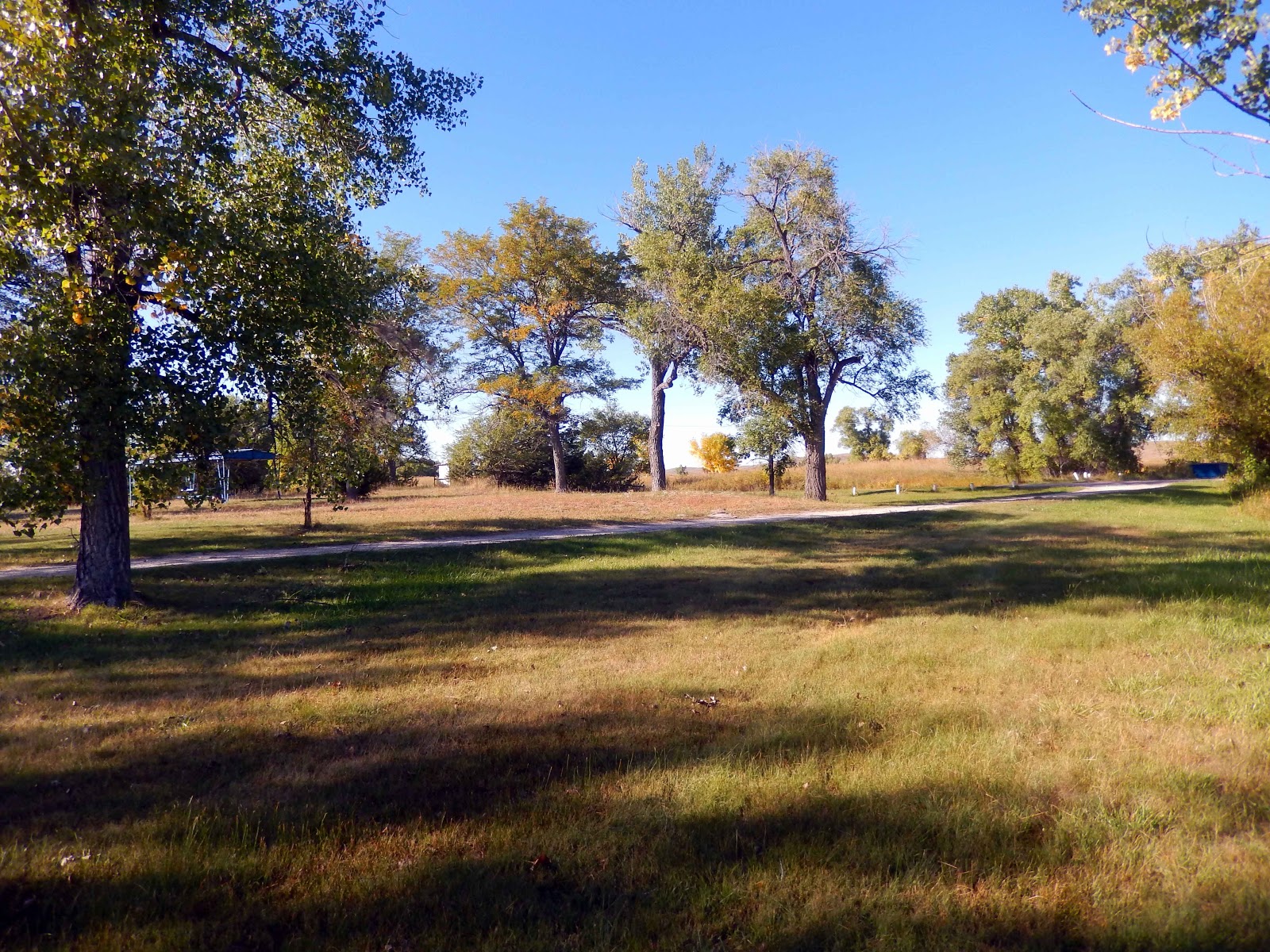 Cat Patches Cottonwood Lake State Recreation Area, Merriman, Nebraska