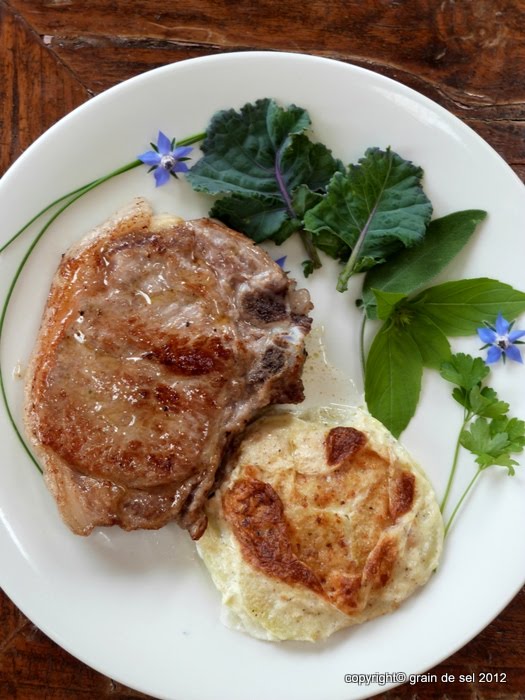 KohlrabiGratin mit Kalbskotlett Salzkorn meine Gartenküche