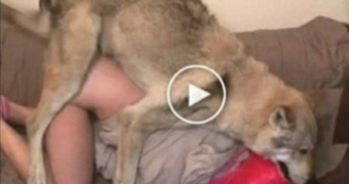 Dogandgirl Faking Video - Watch video:watch dog and girl doing hot porn video pant down