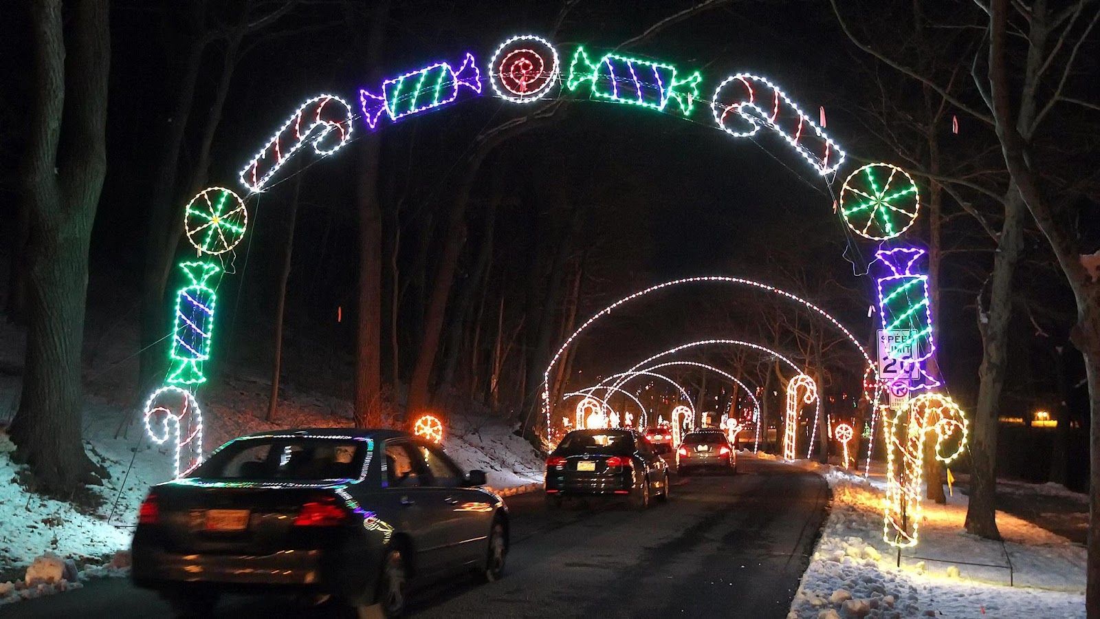 MOLOVINSKY ON ALLENTOWN A Bastard Blogger And Christmas Lights In Parkway