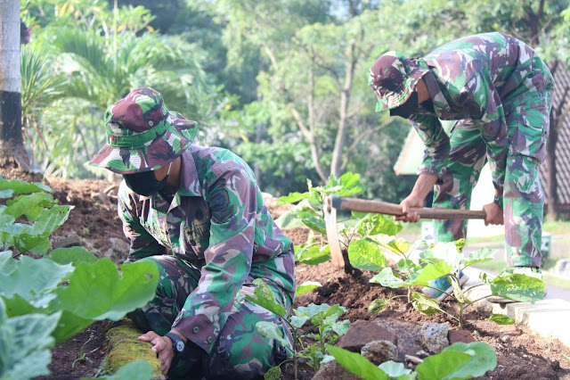 BANTU JAGA KETAHANAN PANGAN, YONIF RAIDER 514/SY MANFAATKAN LAHAN KOSONG UNTUK BERTANI DAN PERIKANAN