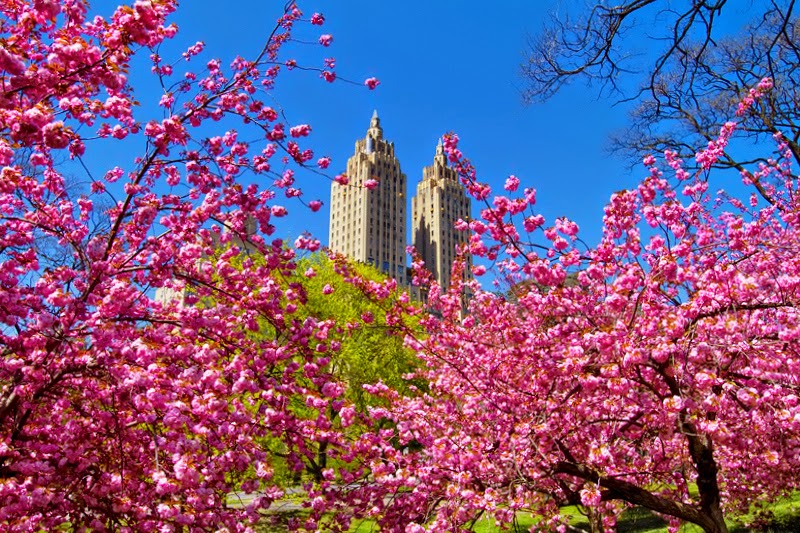 The Radisson Martinique NYC: Spring Has Sprung in New York City!
