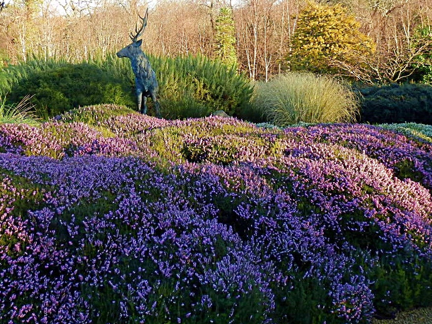 Mike's Cornwall Gardens, Holmbush, St.Austell 30 Acres of