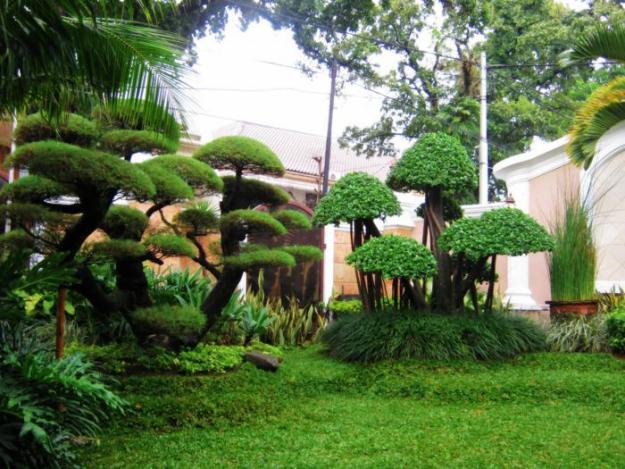 Tips Pintar Merawat Taman di Rumah Agar Tetap Hijau dan Asri Tips Pintar Merawat Taman di Rumah Agar Tetap Hijau dan Asri