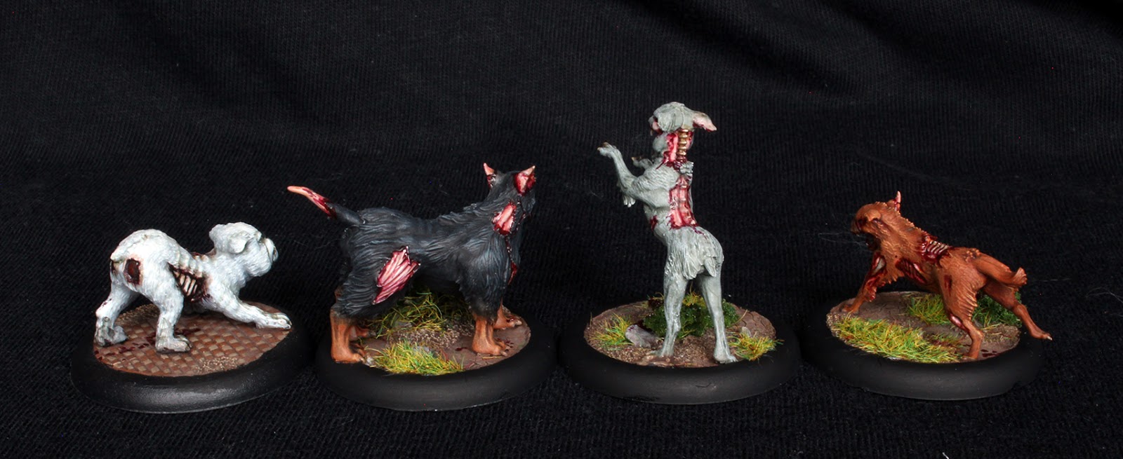 Canines_2.JPG