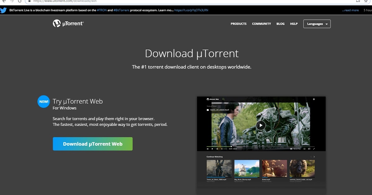 utorrent seeding infinity utorrent seeding infinity