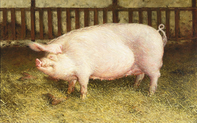 Portrait of Pig by Jamie Wyeth