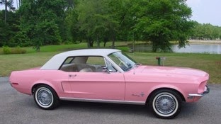 Classic Pink Mustang