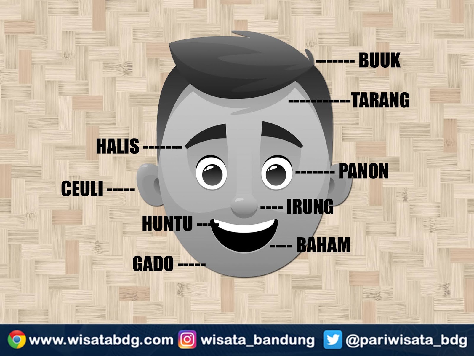Nama-Nama Bagian Anggota Tubuh Manusia di Kepala dalam Bahasa Sunda